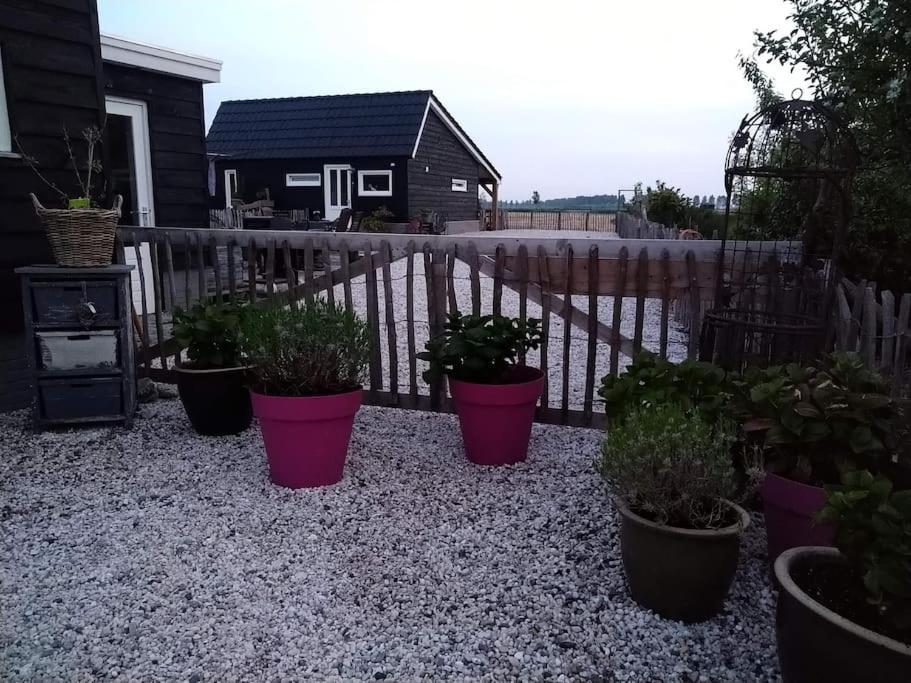 Wellness Chalet Met Jacuzzi, Sauna, Omheinde Tuin, Sint-Annaland Exterior foto