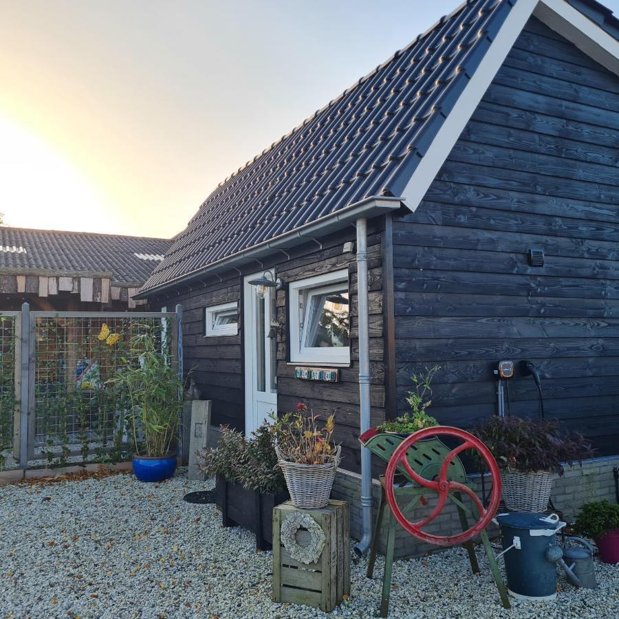 Wellness Chalet Met Jacuzzi, Sauna, Omheinde Tuin, Sint-Annaland Exterior foto